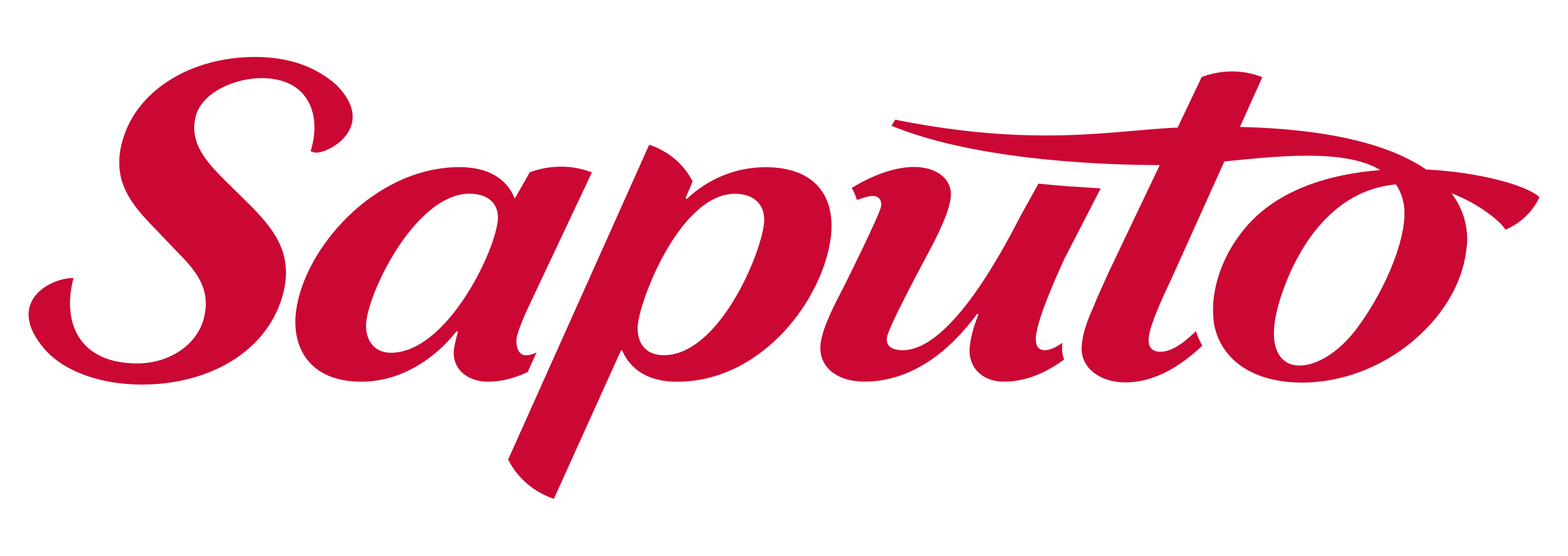 Saputo – formations sur mesure avec Sylbert pour mieux gérer le temps avec Microsoft 365